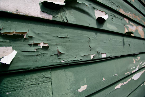  Central Islip, NY Junk Removal Pros